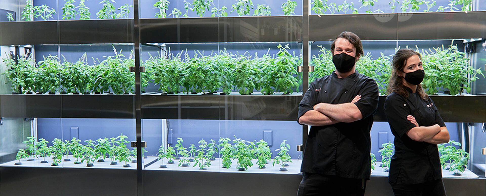 Fresh greens hit the vertical shelves&nbsp;at Whole Foods