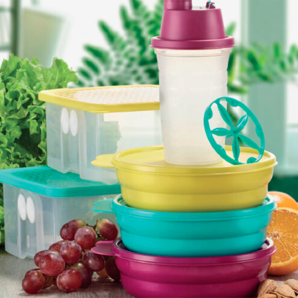 March | Tupperware parties in France