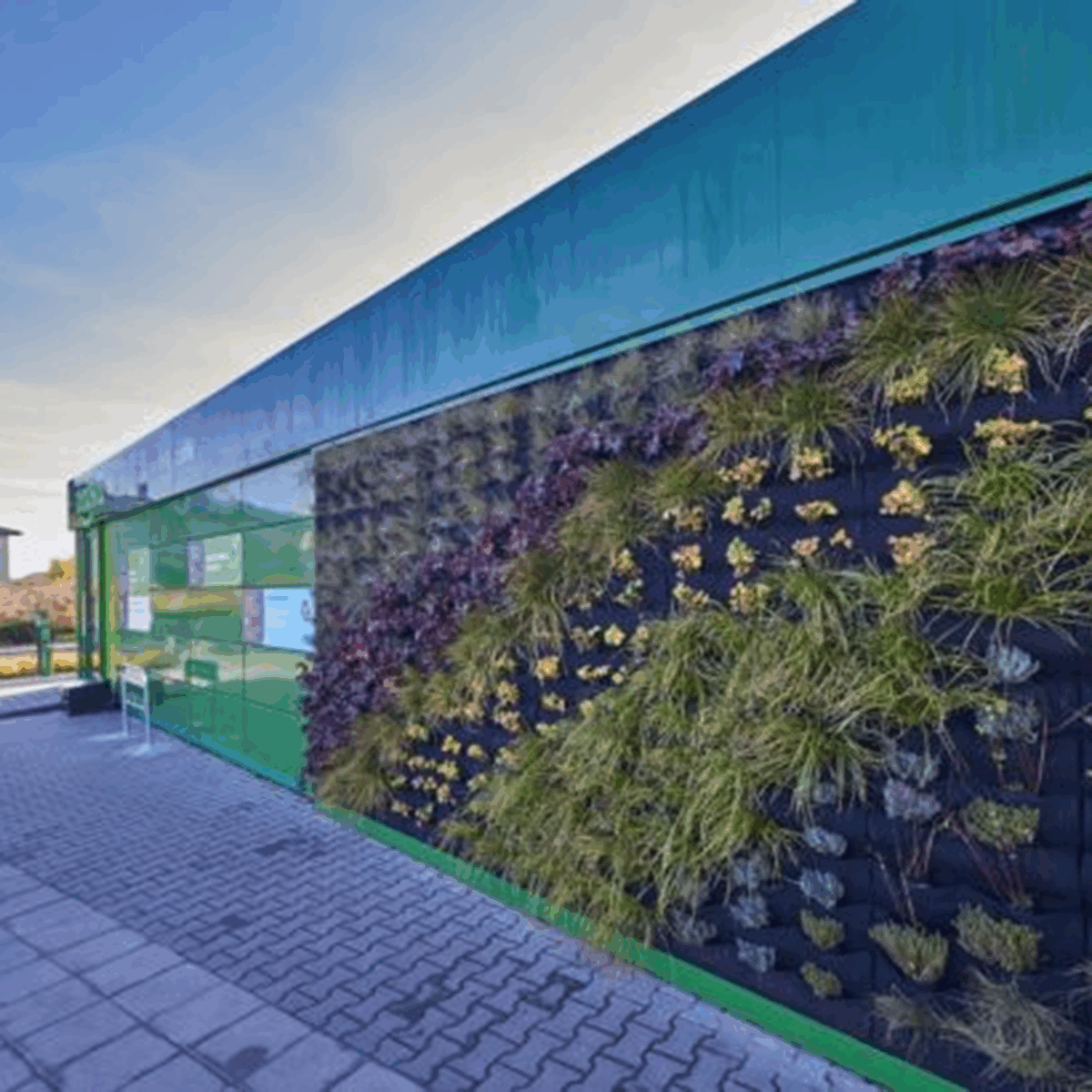 Shoppers can generate electricity in&nbsp;Zabka&#39;s new green energy store